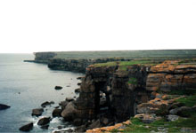 The coastline.
