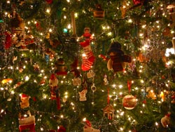 Closeup of the Christmas tree.