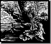 Woodcut